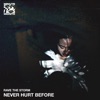 Never Hurt Before - Single