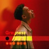Gui Aly - Greyness
