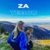 Za Tebou - Single