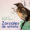 Zorzales de Antaño… Que Si Te Quiero Juralo