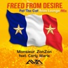 Freed From Desire (feat. Carly Marie) (Pat the Cat Ibiza Lounge Mix) - Single