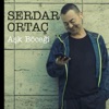 Aşk Böceği - Single