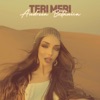 Teri Meri - Single