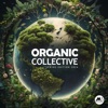 Organic Collective - M-Sol DEEP Spring Edition 2024