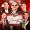 Supo Band - El Picaflor