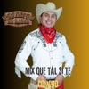 Mix Que Tal Si Te Compro - Single