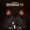 Usichukulie Poa - Single
