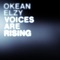 Voices Are Rising cover