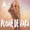 Ploaie de vară - Single