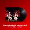 Heronjtë E Kombit - Single