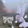 You're Dreaming - Dreaming of you