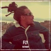 Fly - Single