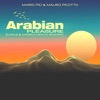 Arabian Pleasure (Karl8 & Andrea Monta Rework) - Single