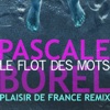Le Flot des mots (Plaisir de France remix) - Single