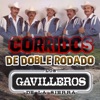 Los Gavilleros De La Sierra - La Doble Rodado