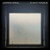 In Any Tongue - Single