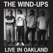 The Wind Ups - Drinking Bleach - Live