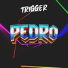 TRIGGER - Pedro