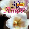 30 Éxitos Del Amor