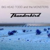 Thunderbird - Single, 2024