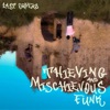 last orders - Thieving And Mischievous Funk