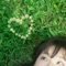 ALMO cover