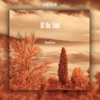 All the Time - Single
