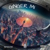 Ginger Mi - Single