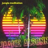 Jungle Meditation - Single
