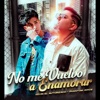 No Me Vuelvo a Enamorar - Single