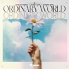 Ordinary World - Single