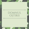 Domnul Oștirii - Single