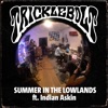 Summer in the Lowlands (Featuring Indian Askin) [feat. Indian Askin] - Single