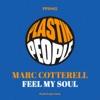 Feel My Soul - Single