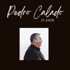 Pedro Calado - Das Saudades Tenho Medo