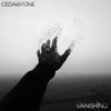Vanishing - Single