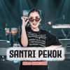 Santri Pekok - Single