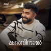 Kasavinaal - Single