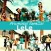 Frumosul Familiei - Single