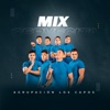 Mix Cervecita - Single