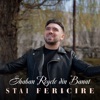 Stai, fericire - Single