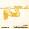 Training Season (Chloé Caillet Mix) - Single