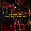 If U Want Me (Just Say U Want Me) - Single