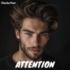 Attention - Single