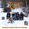 If You've Got Love - Single