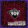 You Know You're Perplexing - Single