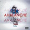 Avalanche cover