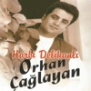 Orhan Çağlayan - Yüzde Yüz