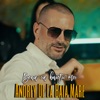 Beau Cu Baietii Mei - Single