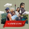 GAMMAANE - Single